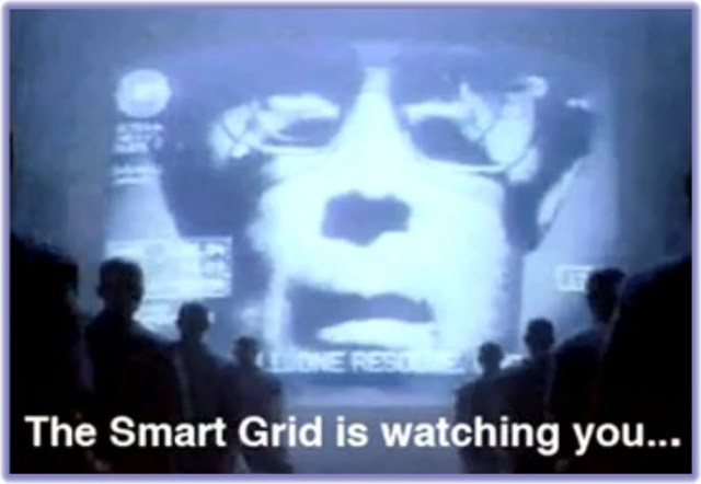 Smart Grid Watching You