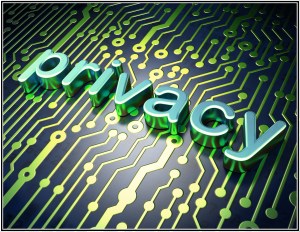 Privacy Clipart with Circuit Board