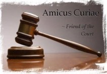 Amicus Curiae