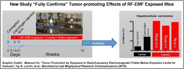 Graphical Abstract for RF Article