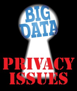 Big Data Privacy Issues