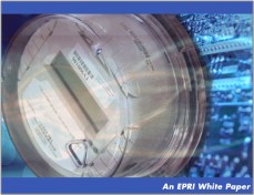 EPRI White Paper