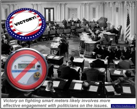 Fighting Smart Meters with Politicians