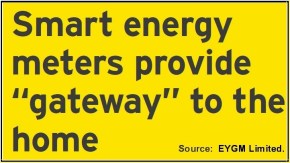 EY Smart Meter Gateway Quote
