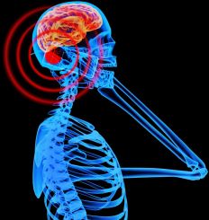 Cell Phone Exposure to Brain