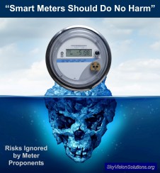 Smart Meters Should Do No Harm Rev